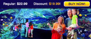 ripleys aquarium myrtle beach discount