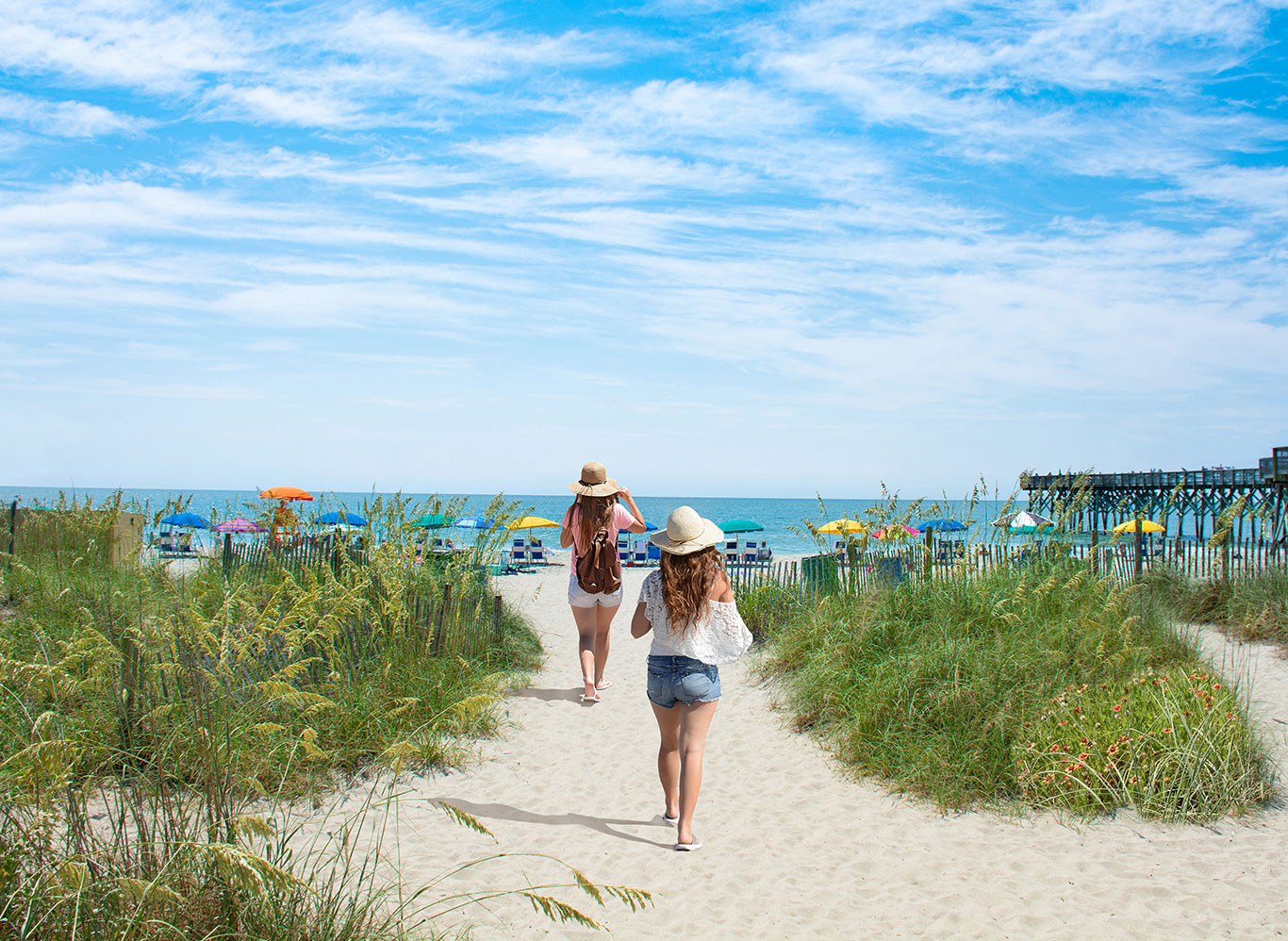 Huntington Beach State Park: South Carolina's Coastal Gem